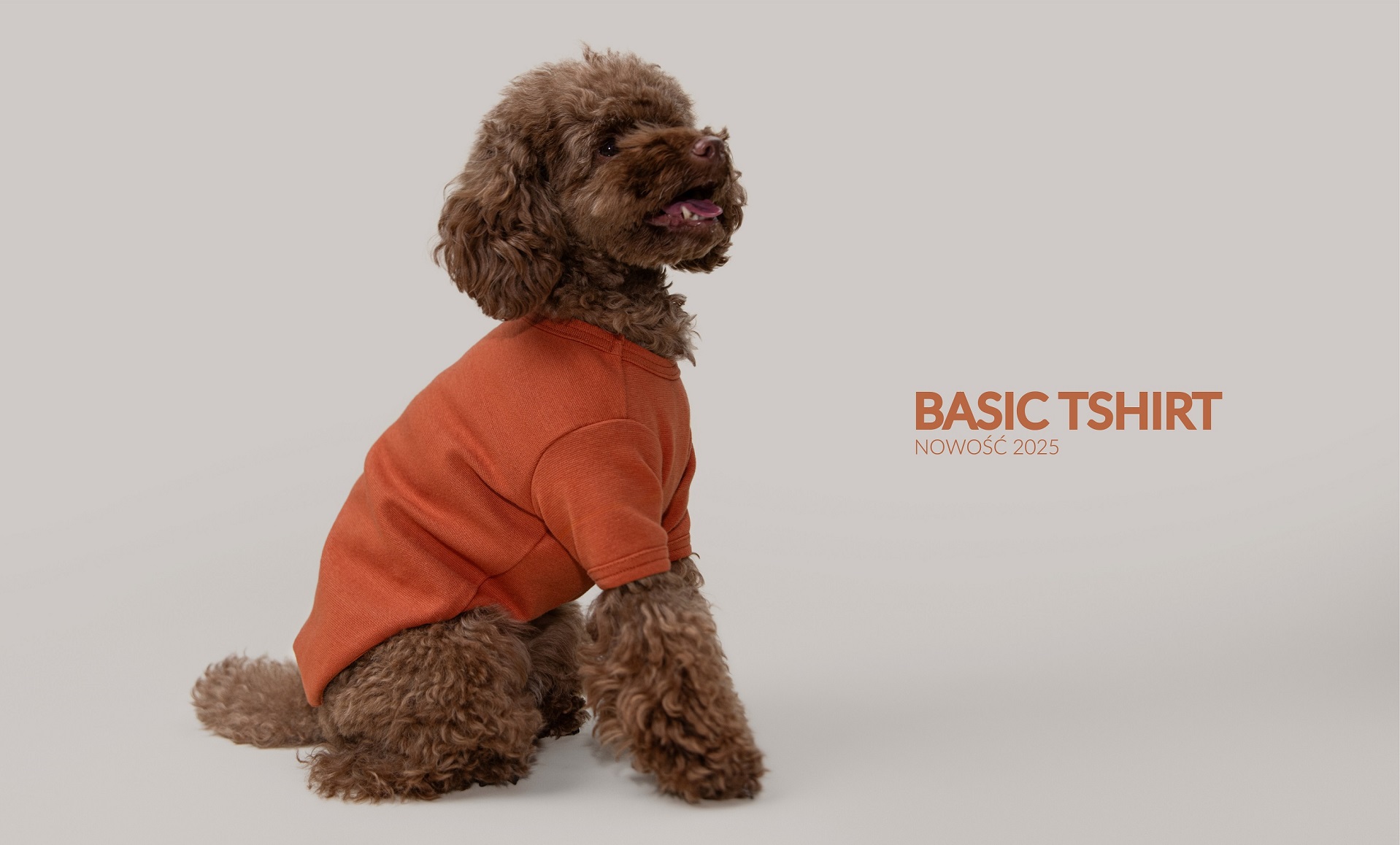 pies w pomarańczowej koszulce basic hau