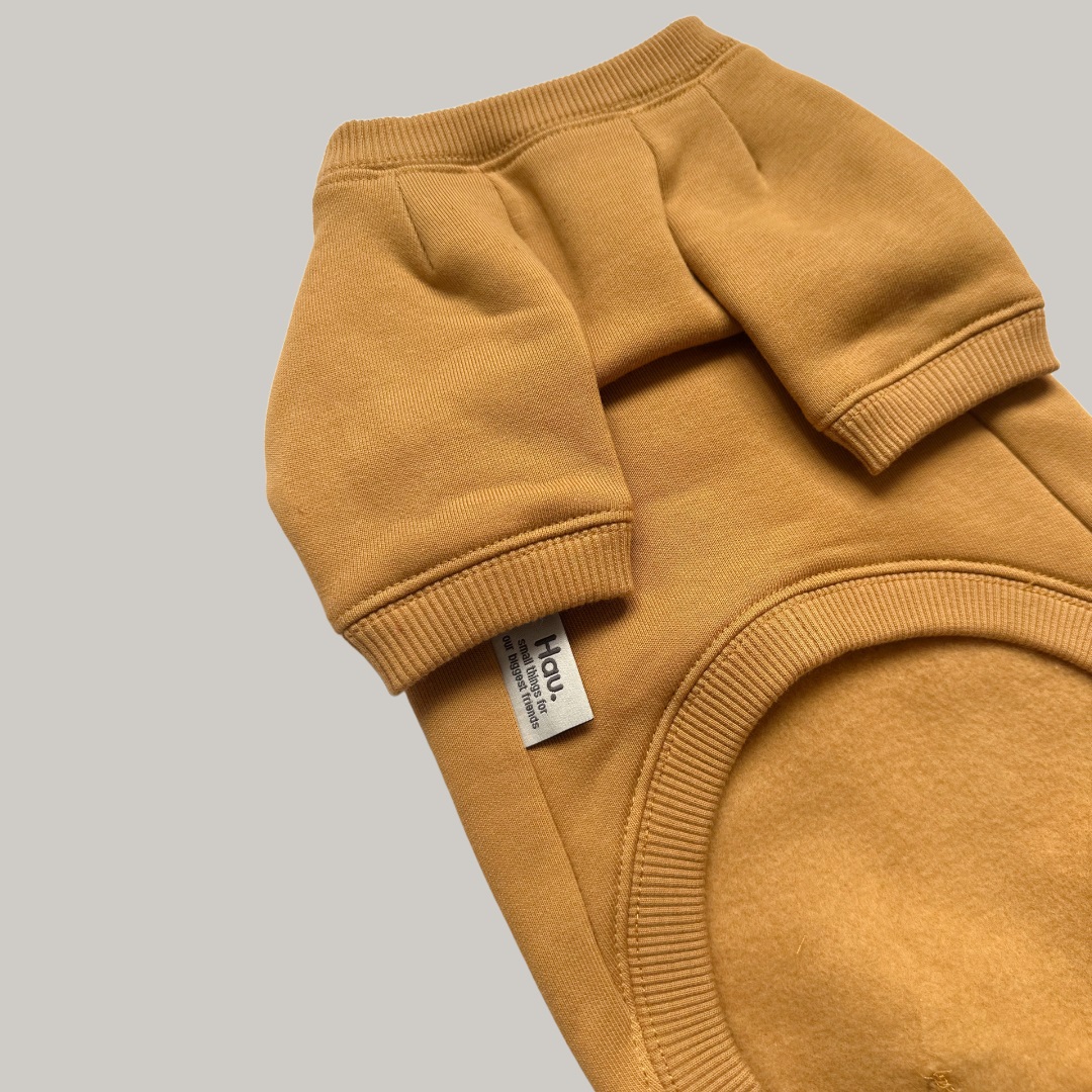 Basic hoodie musztardowa bluza dla psa zdjęcie 2