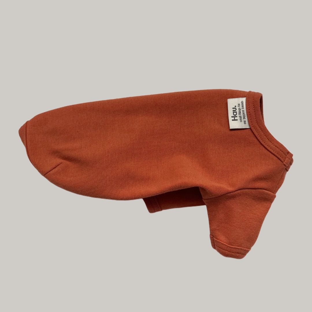 Basic shirt pomarańczowa koszulka dla psa zdjęcie 3