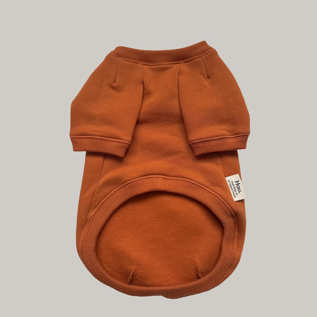 Basic hoodie pomarańczowa bluza dla psa zdjęcie 4