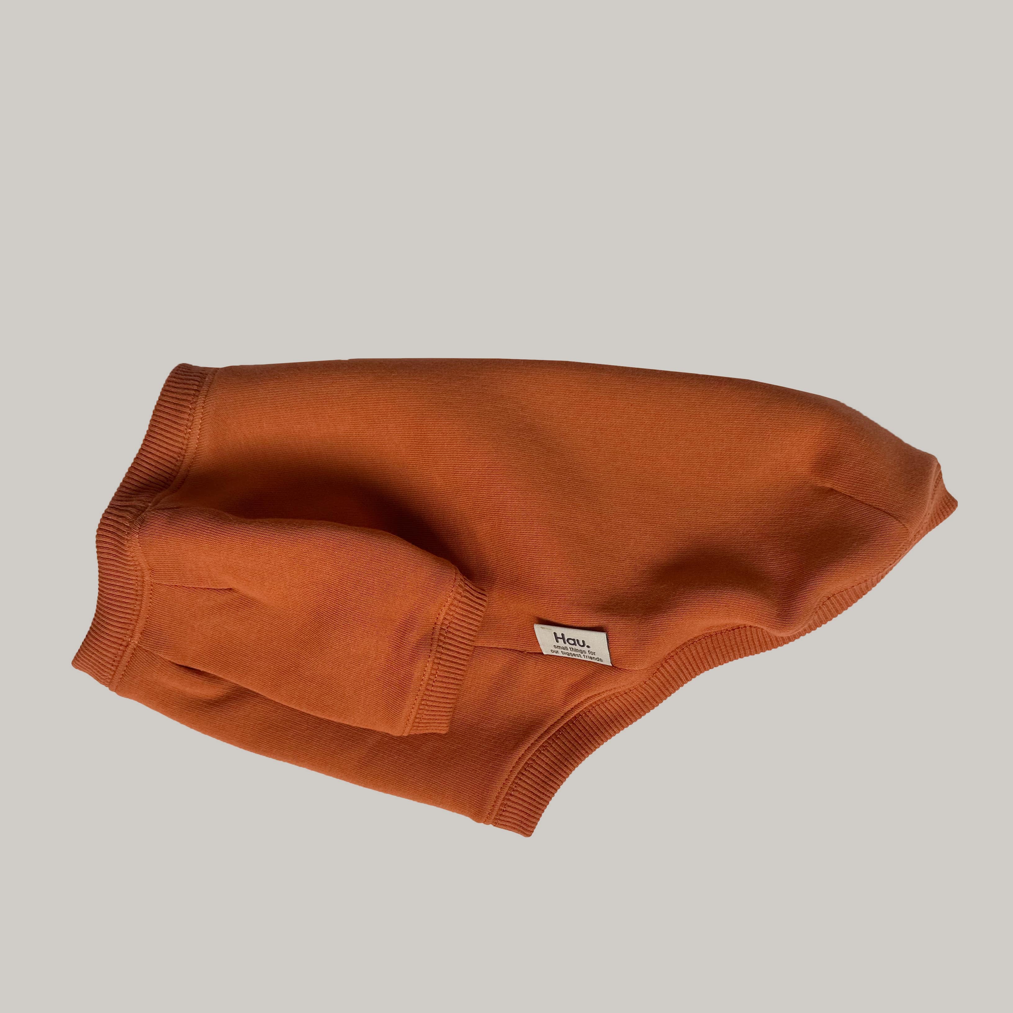 Basic hoodie pomarańczowa bluza dla psa zdjęcie 1