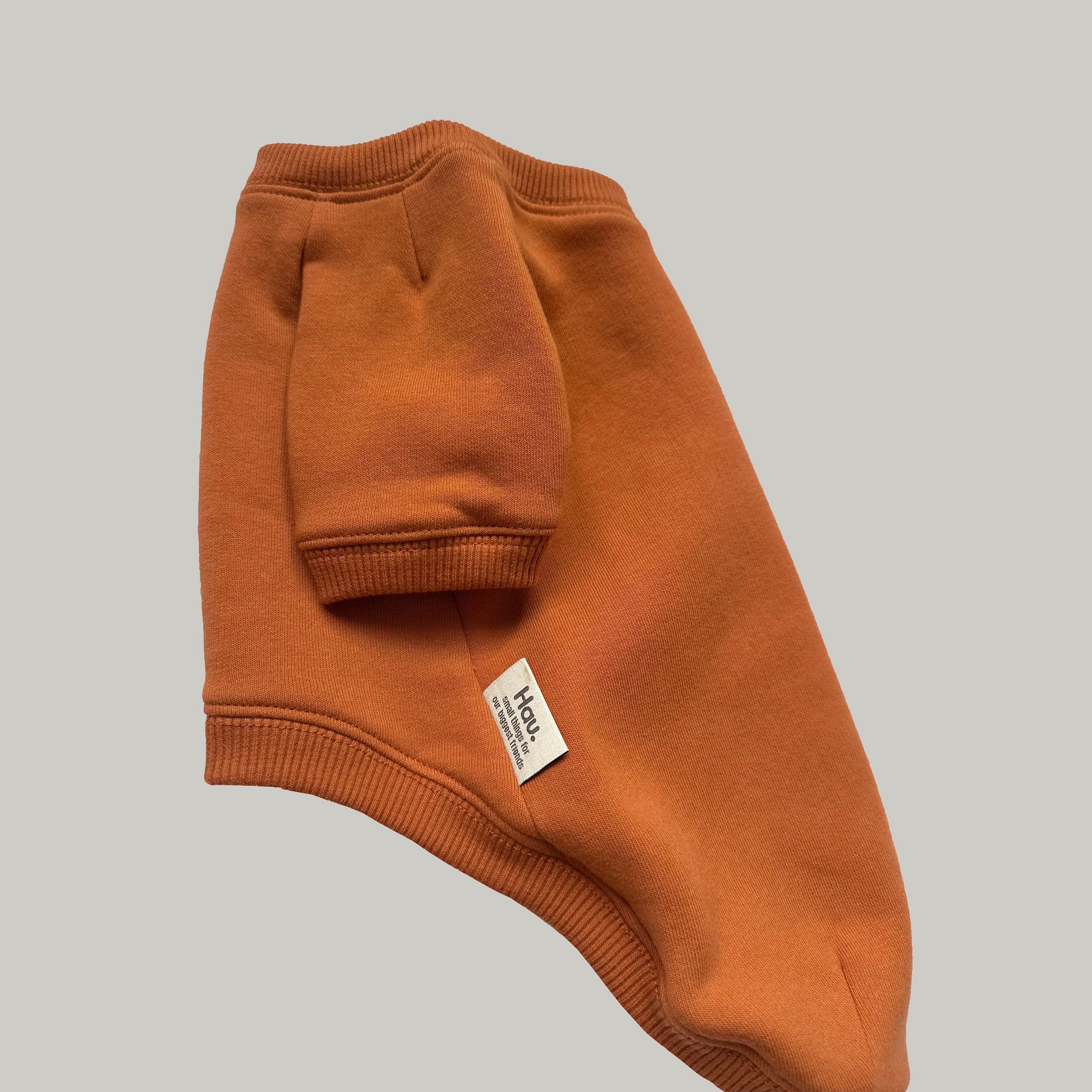 Basic hoodie pomarańczowa bluza dla psa zdjęcie 2
