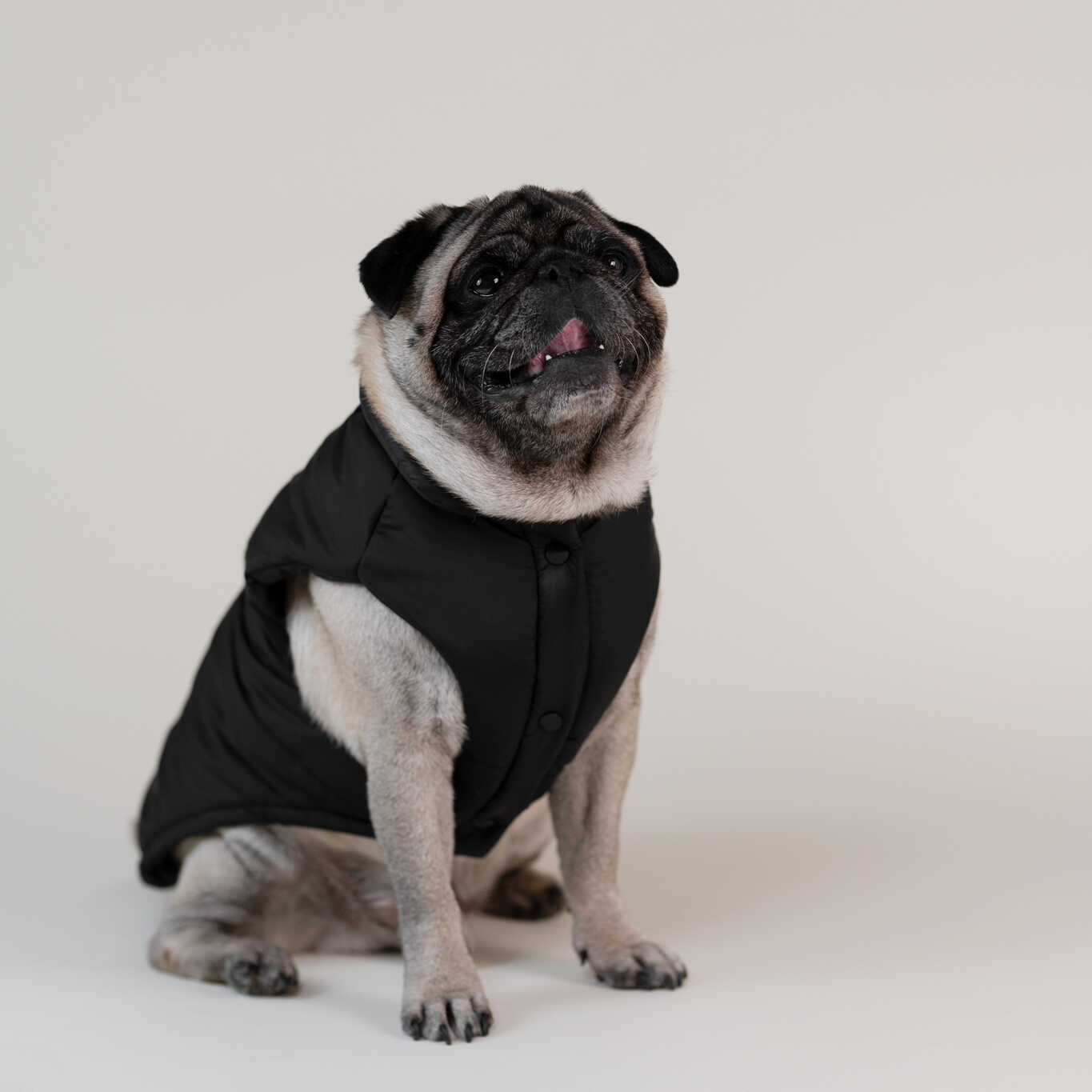 Puff Vest czarny bezrękawnik ocieplany dla psa