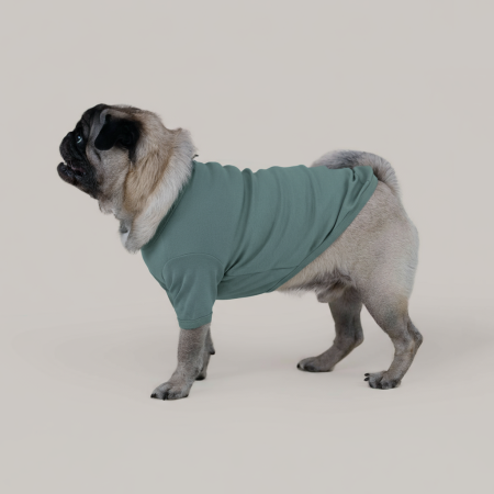 Basic shirt jasno niebieska koszulka dla psa