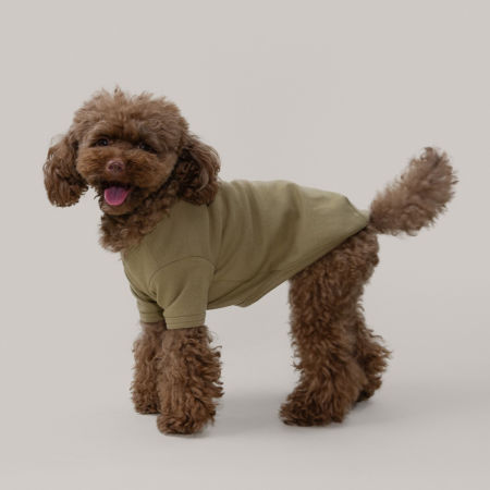 Basic shirt oliwkowa koszulka dla psa