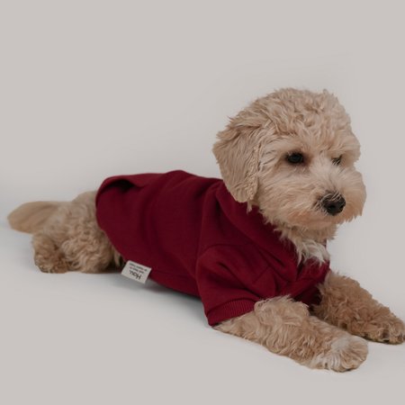 Basic Hoodie bordowa bluza dla psa