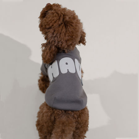 Bluza HAU ciemny beż dla psa