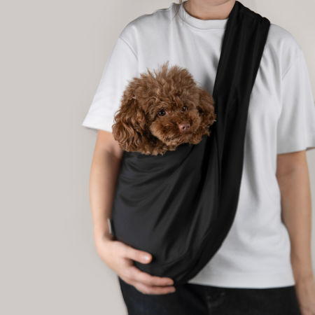 Paw Bag - Torba na psa w kolorze czarnym