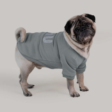 Hau Hoodie szara rozpinana bluza dla psa z zamkiem