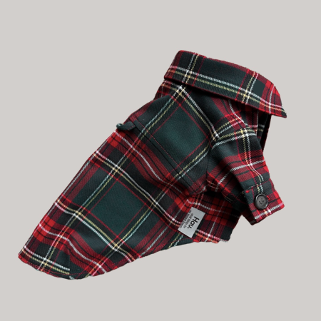 Christmas shirt - Świąteczna koszula dla psa w zieloną kratę