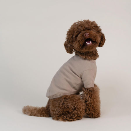 Basic shirt beżowa koszulka dla psa