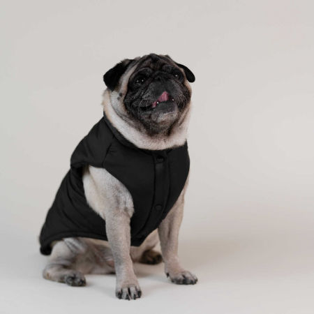 Puff Vest czarny bezrękawnik ocieplany dla psa