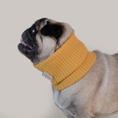 Pupwrap żółty - komin dla psa