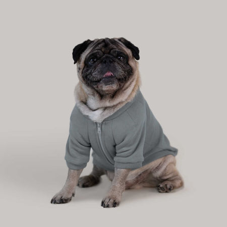 Hau Hoodie szara rozpinana bluza dla psa z zamkiem