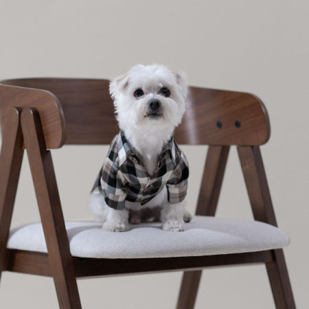 Plaid shirt - koszula w kratę dla psa 