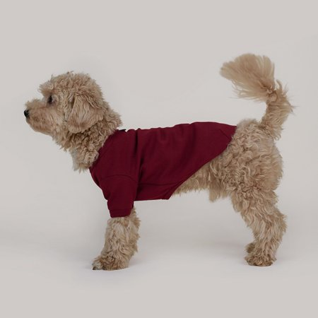 Basic shirt mulberry red - bordo koszulka dla psa
