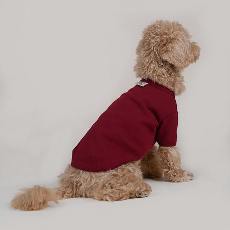 Basic shirt mulberry red - bordo koszulka dla psa