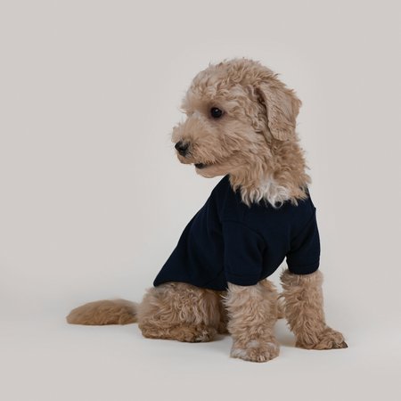 Basic shirt navy - granatowa koszulka dla psa