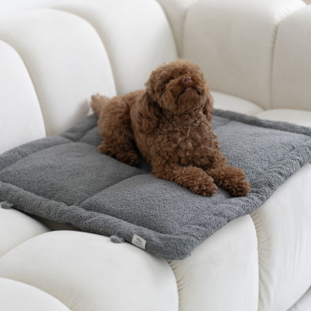 Pup matt - szara boucla mata dla psa 