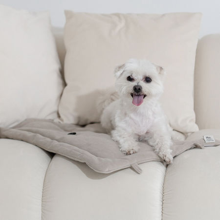 Pup matt - beżowa mata dla psa 