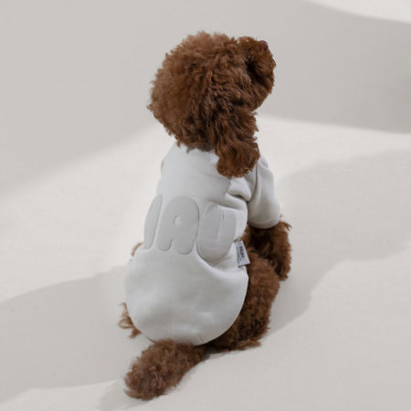 Bluza HAU jasny beż dla psa