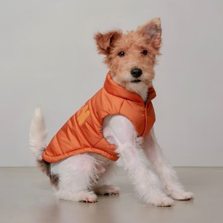 Puff Vest pomarańczowy bezrękawnik ocieplany dla psa