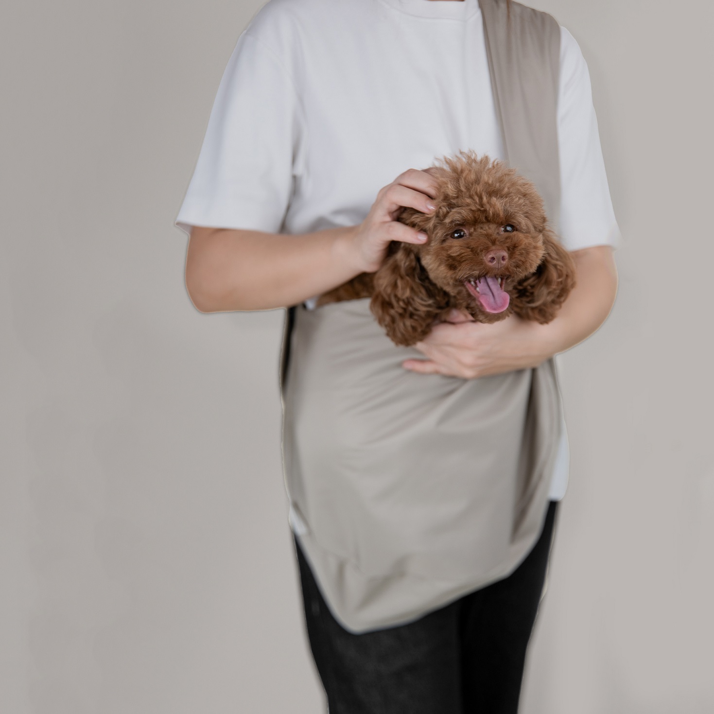 Paw Bag - Torba na psa w kolorze jasny beż zdjęcie 1